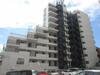 カサベラ岡本 2階 築41年5ヶ月の賃貸物件