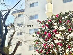 武蔵野グリーンタウンＦ棟