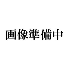 愛知県蒲郡市竹島町