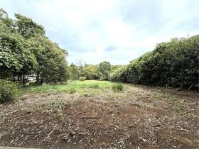 千葉県長生郡長柄町上野