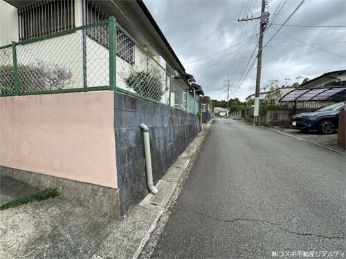 Image 15