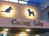 CadogLily 3階 築35年6ヶ月の賃貸物件