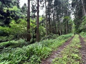 福島県いわき市田人町黒田字高柴