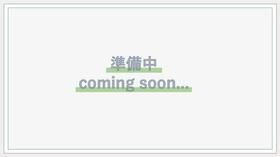 ヴェルジュパレス今里