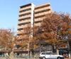マジェスティ　 8階 築20年1ヶ月の賃貸物件