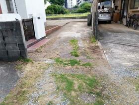 Image 13