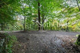 長野県北佐久郡軽井沢町大字軽井沢