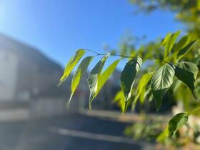 東京都杉並区松庵３丁目