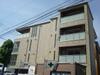 ラサンテ大橋 4階 築8年11ヶ月の賃貸物件