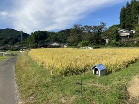 鹿児島県姶良市平松