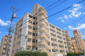 パレス守恒（Ｂ−３２）