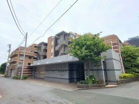 Ｔｈｅ　ＮＯＢＵＴＯ　ＨＩＬＬＳ　ＦＯＲＥＳＴ　ＣＯＵＲＴ