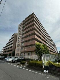 ビクトリアアネーロ大宮