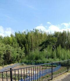 千葉県館山市上真倉