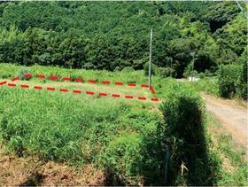 静岡県藤枝市中藪田