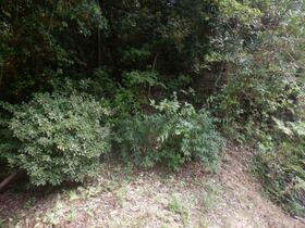 千葉県館山市小原