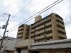城西シティー彦和 7階 築38年8ヶ月の賃貸物件