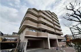 ディオ・フェルティ白鷺