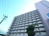 桜台ハイツ２号棟 9階 築51年1ヶ月の賃貸物件