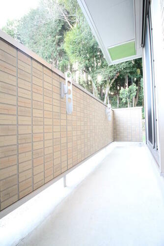 パピヨン_その他_7