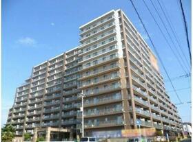 エクセレントプレイスドリームマークス