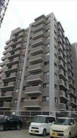 ビブレマンシヨン薬園