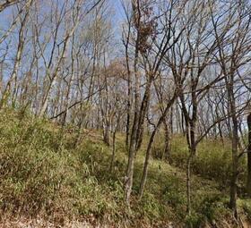 栃木県那須烏山市月次