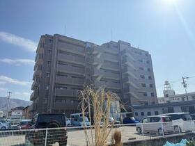 アルファライフ束本