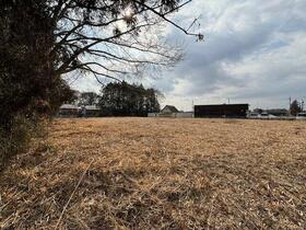 茨城県小美玉市江戸