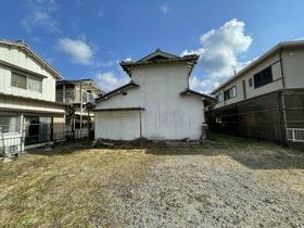 兵庫県丹波篠山市杉