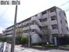 サンテ東甲子園 3階 築32年11ヶ月の賃貸物件