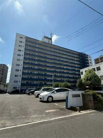 日明コータース