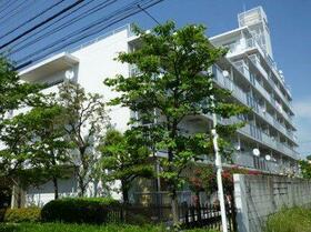 ニックハイム渋江公園