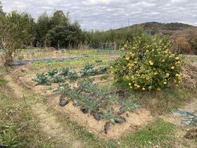 愛知県豊田市平和町２丁目