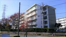 新座団地