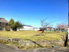 滋賀県高島市鴨