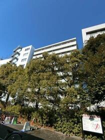 初台スカイレジテル