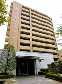 コスモハイセレサ川口本町