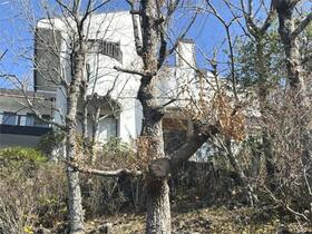 静岡県伊東市八幡野