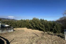 神奈川県足柄下郡真鶴町真鶴