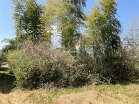 茨城県牛久市神谷３丁目