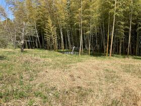 茨城県牛久市神谷３丁目