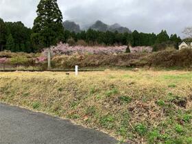 熊本県阿蘇郡南阿蘇村大字河陰