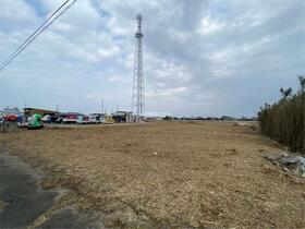 茨城県稲敷市上之島