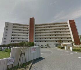 サンフラワー勝浦