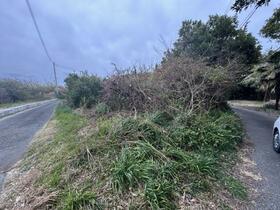 千葉県南房総市白浜町滝口