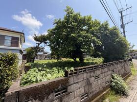 鹿児島県姶良市中津野