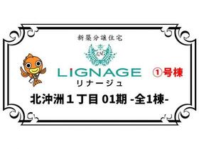 徳島県徳島市北沖洲１丁目