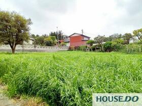 茨城県守谷市野木崎