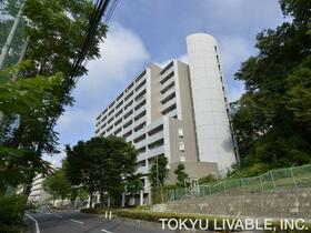 シティ光陽朝霞泉水